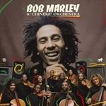BOB-MARLEYTHE-CHINEKE-O-YELLOWGREENLPPOSTER-62-Vinyl
