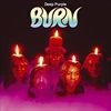 BURN-VINYL180GR-7205-Vinyl