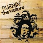 BURNINVINYL180GDC-6439-Vinyl