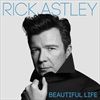 Beautiful-Life-3801-Vinyl