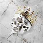Beautifully-Broken-Ltd-Edt-163-Vinyl