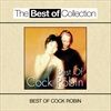 Best-Of-Cock-Robin-5808-CD