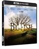 Big-Fish-4K-Blu-ray-F