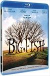 Big-Fish-BR-530-Blu-ray-F