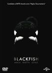 Blackfish-3767-DVD-I