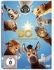 Bo-und-der-Weihnachtsstern-2810-DVD-D