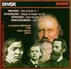 Brahms-and-Friends-Vol-2-Brahms-Schumann-Roentg-384-CD