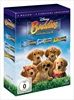 Buddies-Collection-DVD-D