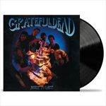 Built-to-Last-98-Vinyl