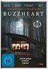 Buzzheart-DVD-D