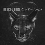 CARACAL-24-Vinyl