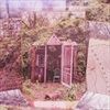CAROLINA-CONFESSIONS-2583-CD