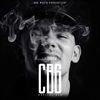CB6-LTD-COLORED-2LP-15-Vinyl