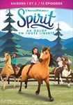 COFFRET-SPIRIT-12-AU-GALOP-EN-TOUTE-LIBERTE-1026-DVD-F
