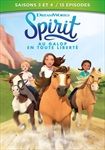 COFFRET-SPIRIT-34-1195-DVD-F