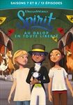 COFFRET-SPIRIT-78-281-DVD-F