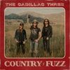 COUNTRY-FUZZ-962-CD