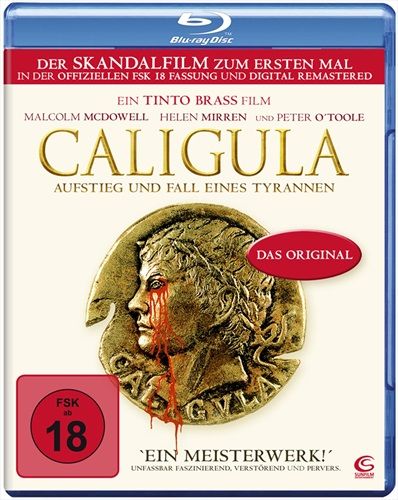 Jetzt bestellen!