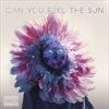 Can-You-Feel-The-Sun-516-Vinyl