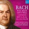 Cantatas-BWV-5-33-94-111-113-135-178-3-CD