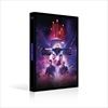 Central-Tour-Le-Film-3DVD-6-DVD