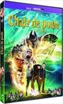 Chair-de-poule-4855-DVD-F