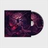 Chasing-Euphoria-80-CD