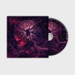 Chasing-Euphoria-80-CD