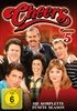 Cheers-Season-5-824-DVD-D