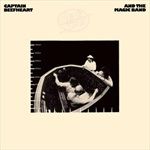 Clear-Spot50th-Anniversary-Deluxe-Edition-81-Vinyl