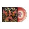 Clients-RI-Bone-Oxblood-Merged-1-Vinyl