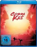 Cobra-Kai-Season-2-BR-5521-Blu-ray-D