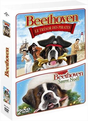 commandez maintenant!