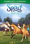 Coffret-Spirit-56-1900-DVD-F