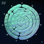 ContreTemps-4222-Vinyl