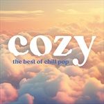 Cozy-The-Best-of-Chill-Pop-2LP-14-Vinyl