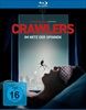 Crawlers-Im-Netz-der-Spinnen-Blu-ray-D