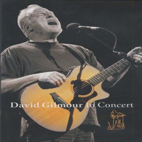 Image of David Gilmour In Concert