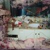 DAYTONA-VINYL-19-Vinyl