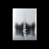 DESIRE-UNLEASH-MAKE-Ver-19-CD
