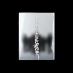 DESIRE-UNLEASH-MAKE-Ver-19-CD