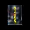 DESIRE-UNLEASH-YOU-Ver-20-CD