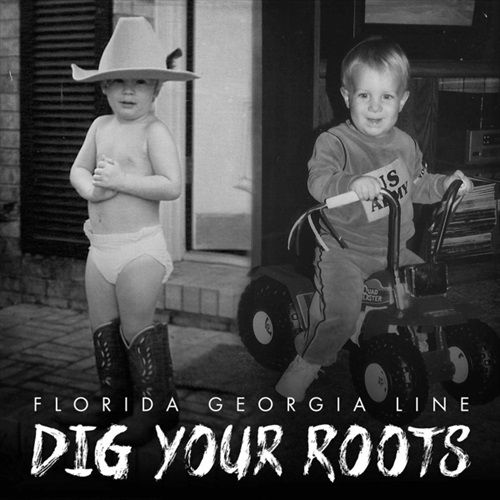 Image of DIG YOUR ROOTS