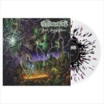 Dark-Superstition-96-Vinyl
