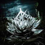 Darkbloom-341-CD