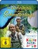 Das-Geheimnis-des-blauen-Schmetterlings-Bluray-333-Blu-ray-D