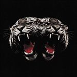 Dead-Company-5-Vinyl
