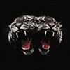 Dead-Company-6-CD