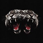 Dead-Company-6-CD