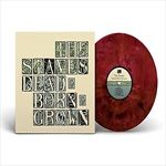 DeadBornGrown10th-Anniversary-Recycled-Vinyl-34-Vinyl